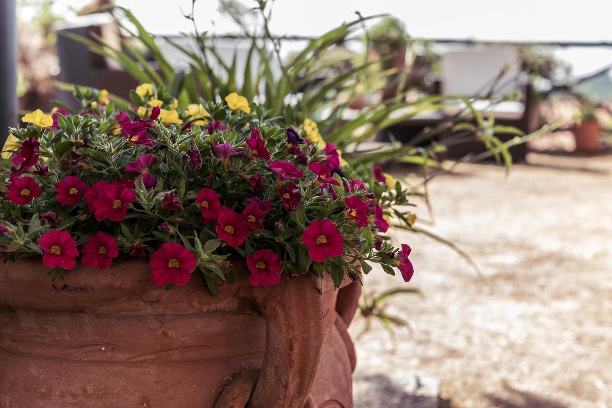 B&B Al Vecchio Forno Montepulciano Stazione エクステリア 写真
